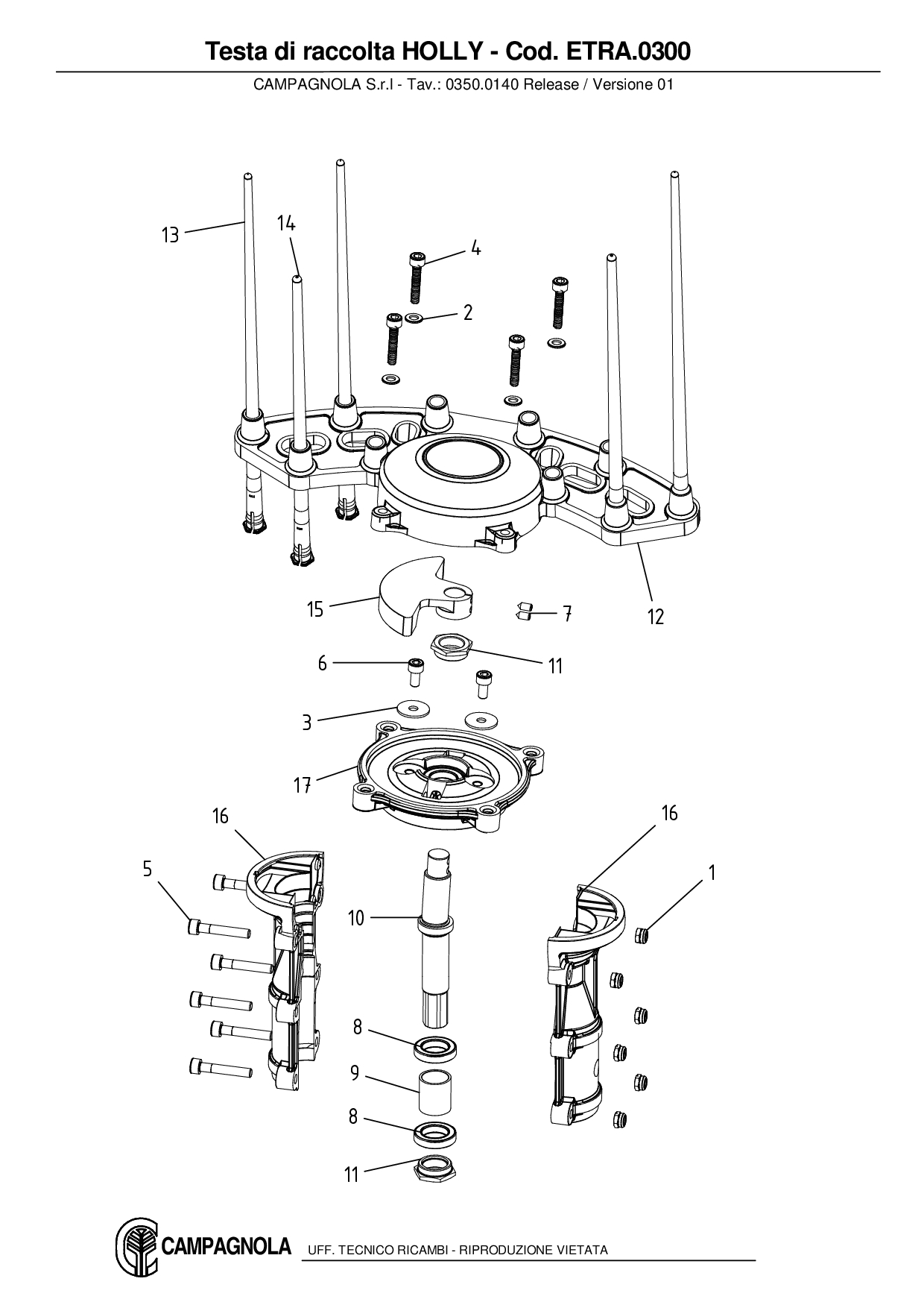 ETRA.0300_Testa di raccolta HOLLY
